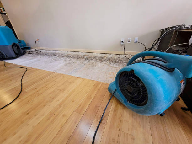 Professional Basement Flood Cleanup technician working in Byars, OK